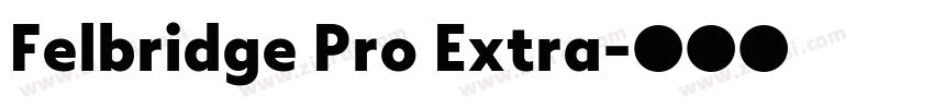 Felbridge Pro Extra字体转换 Felbridge Pro Extra字体转换